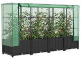 Raised Bed with Greenhouse Cover Rattan Look 160x40x138 cm 4015816