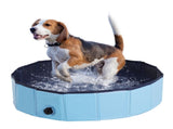Dog Pool 64426313