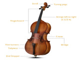 Full Side 4/4 Matte Natural Color Spruce Panel Cello with Bag Bow Rosin Bridge Strings 48508763
