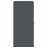 Storage Cabinet Anthracite 80 x 40 x 90 cm Steel 891684