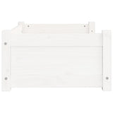 Dog Bed White 65.5x50.5x28 cm Solid Pine Wood 821448