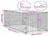 Outdoor Dog Kennel with Door 2x1x1 m Galvanised Steel 4105410