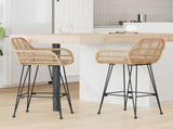 Bar Chair 2 pcs 55 x 52 x 92 cm Rattan and Iron 42011552