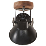 Industrial Wall/Ceiling Lamps 2 pcs Black 20x25 cm E27 320514