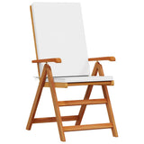 Garden Chair 4 pcs Brown and White 57 x 71.5 x 104 cm 3375769
