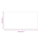 Fireplace Glass Plate Transparent 100 x 50 cm Glass 353852