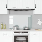 Kitchen Backsplash Transparent 100 x 60 cm Tempered Glass 249477