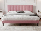 4ft6 Double Upholstered Velvet Frame, with Adjustable Channel Tufted Headboard, Velvet Platform N652P179780P