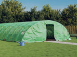 Greenhouse with Steel Frame Green 50 m 10x5x2.3 m 3188086