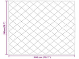 Winter Duvet 200 x 200 cm 450 gsm Microfiber 42025719