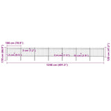 Garden Fence with Spear Top Steel 1248x120 cm Black 277626