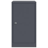 Mailbox with Storage with Door Anthracite 30 x 20 x 55 cm Steel 874949