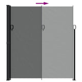 Retractable Side Awning Anthracite 220x300 cm 4004383