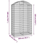 ZNTS Arched Gabion Basket 100x50x160/180 cm Galvanised Iron 153438