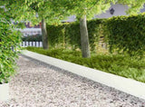Lawn Edging 10 pcs 103 x 30 cm Steel White 8008506