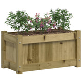 Garden Planters 2 pcs Impregnated Wood Pine 837448