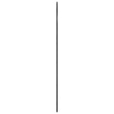 Wall Mirror Black 100x150 cm Arch Iron 3200614