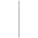 Wall Mirror Black Glass, Iron 150 x 100 cm Minimalistic 3200614