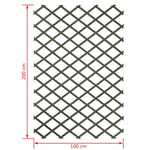 ZNTS Nature Garden Trellis 100x200 cm Wood Green 6041704 409347