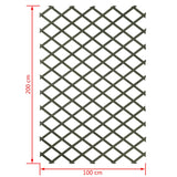 ZNTS Nature Garden Trellis 100x200 cm Wood Green 6041704 409347