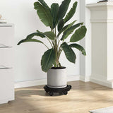Plant Trolleys with Wheels 5 pcs Diameter 30 cm Black 170 kg 3143917