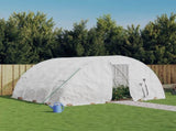 Greenhouse with Steel Frame White 20 m 5x4x2.3 m 3188094