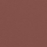 Retractable Side Awning Brown 120x500 cm 4004404