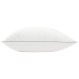 Pillow FULDA 2 pcs 65 x 65 cm 100% Goose Down & Feather White 42042929
