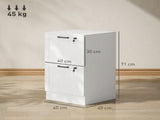 2 Drawer Filing Cabinet with Lock, Office Storage Cabinet with Adjustable Hanging Bars for A4 Letter T3398P425002