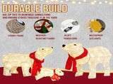 Set of 3 Lighted Polar Bear Family Christmas Decorations, Pre-lit Holiday Decor with 190 Warm White 26035753