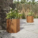 Garden Planters 2 pcs Hexagon 46x40x45 cm Weathering Steel 851121