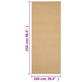 Rug Natural Sisal 100x250 cm 136313