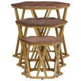 Coffee Tables Brown 55 x 55 x 50 cm Solid Mango Wood 4104646
