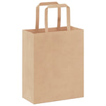 ZNTS Paper Bags 250 pcs with Handles Brown 18x8x22 cm 4101810