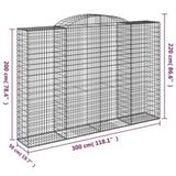 Arched Gabion Basket 300x50x200/220 cm Galvanised Iron 153520