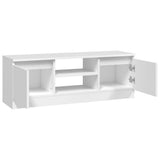 TV Cabinet with Door White 102x30x36 cm 823350