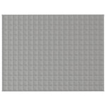 ZNTS Weighted Blanket Grey 150x200 cm 11 kg Fabric 350721