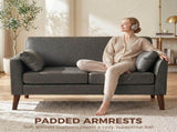 2 Seater Sofa, 132 cm Modern Small Sofa with Solid Wood Legs and 2 Pillows for Small Space, Grey T3398P548096