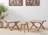 Deck Chair 2 pcs Solid Eucalyptus Wood Beige 42024899