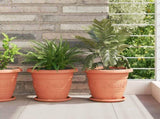 Round Flower Pot 24 pcs Brick Red 26 x 21.5 cm Plastic 42020290