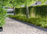 Lawn Edging 30 pcs 100 x 12 cm Steel Anthracite 8008794