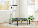 Exercise Trampoline 13212394