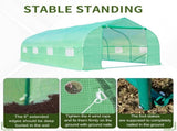 Polytunnel Greenhouse with Windows and Door, Walk in Greenhouse for Garden, Backyard T3398P377682