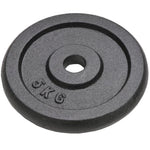 ZNTS Weight Plates 4 pcs 4x5 kg Cast Iron 91392