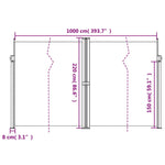 ZNTS Retractable Side Awning Taupe 220x1000 cm 4004784