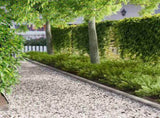 Lawn Edging 30 pcs 103 x 10 cm Steel Silver 8008340
