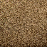Doormat Washable Brown 90x120 cm 323436