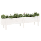 Garden Raised Bed White 160x30x38 cm Solid Wood Pine 825192