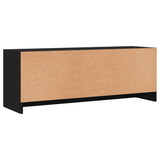 TV Cabinet Black 102x30x37.5 cm Engineered Wood 823254