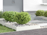 Lawn Edging 6 pcs White 60 x 60 x 13 cm Steel 874733